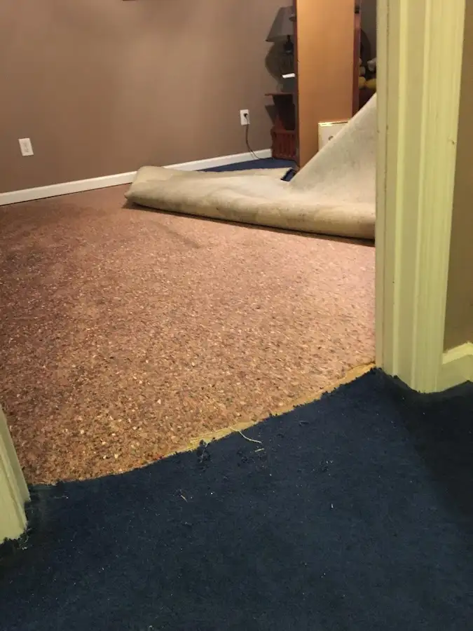 Carpet pad removal revealing water damage during Drying & Dehumidification in Otsego