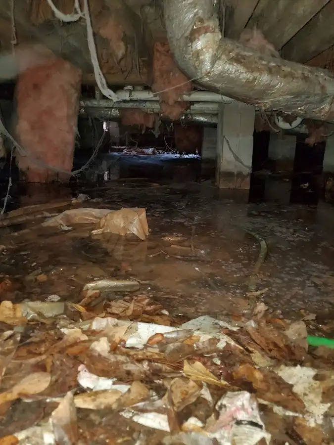 Crawl space flood assessment for Leak Detection & Repair in Otsego