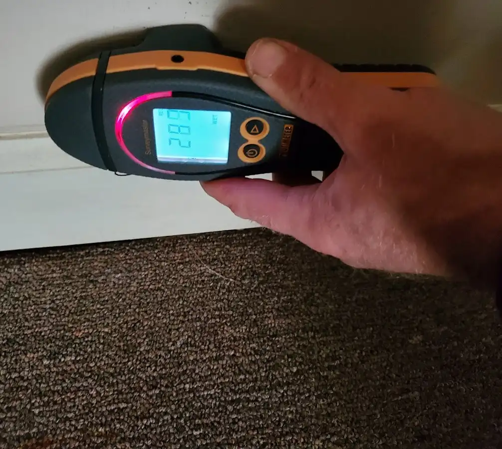 Moisture detection at baseboard during Sewage Cleanup & Sanitation in Otsego